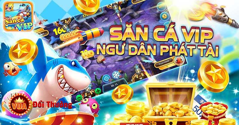 Giới thiệu thông tin tổng quan BanCaVIP