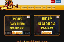 Vua Gà Az - Lựa Chọn Số 1 Cho Người Chơi Đam Mê Đá Gà Trực Tuyến