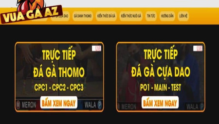 Vua Gà Az - Lựa Chọn Số 1 Cho Người Chơi Đam Mê Đá Gà Trực Tuyến